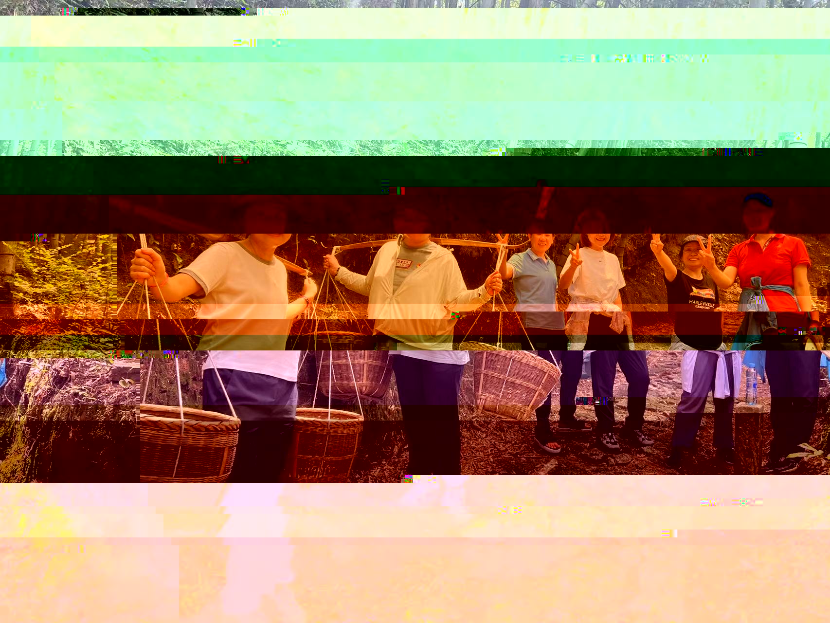 image-20230719154532-6