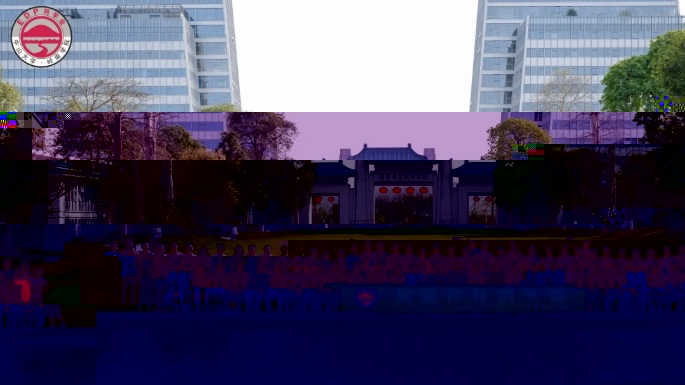 image-20240409162802-26